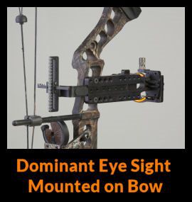 dominant eye sight on bow